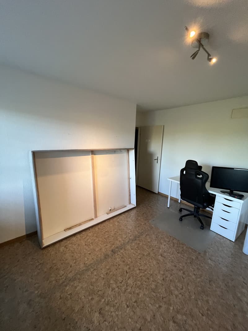Recherche locataire : Appartement 2 pièces lumineux avec grand balcon à Effretikon (2)