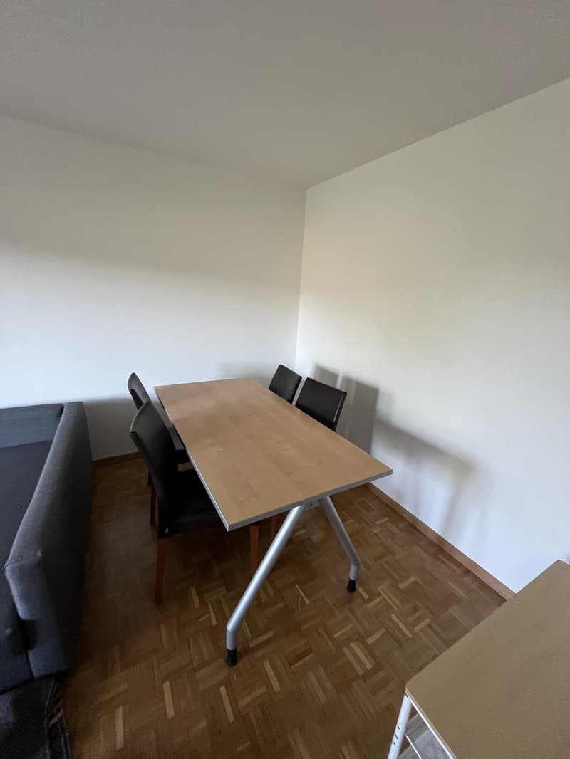Recherche locataire : Appartement 2 pièces lumineux avec grand balcon à Effretikon (6)