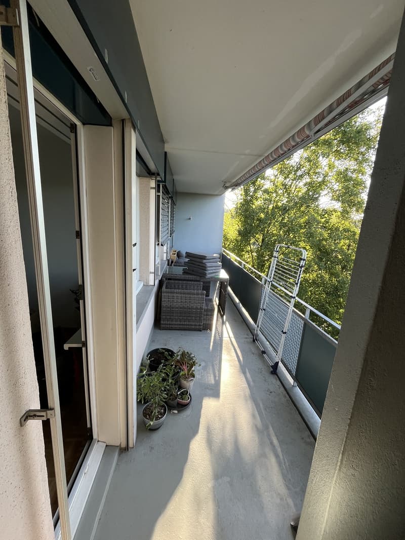 Recherche locataire : Appartement 2 pièces lumineux avec grand balcon à Effretikon (11)