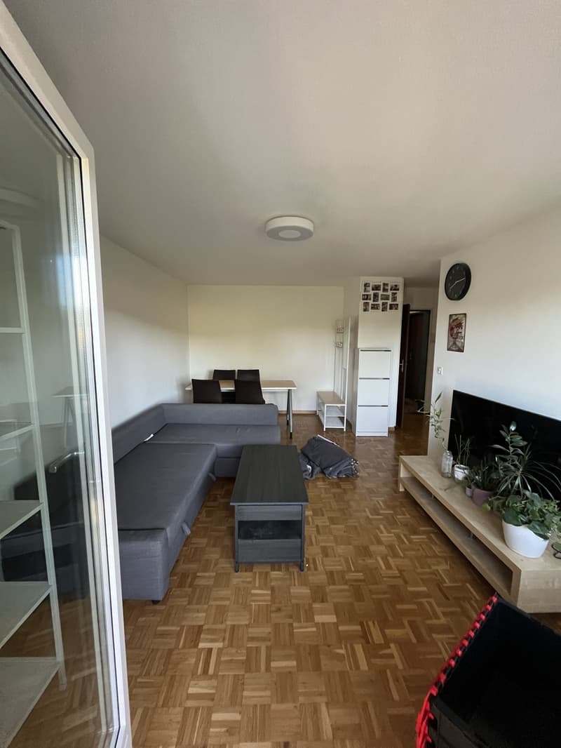Recherche locataire : Appartement 2 pièces lumineux avec grand balcon à Effretikon (4)