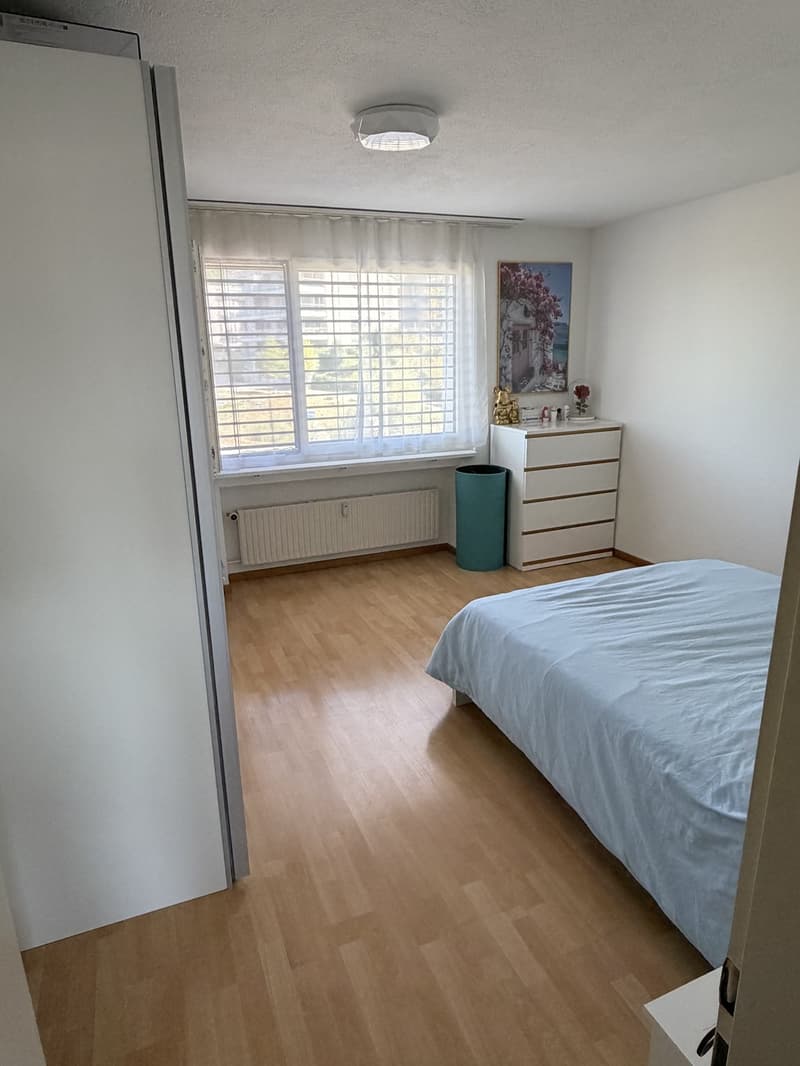 3.5 Zimmer Wohnung (3)