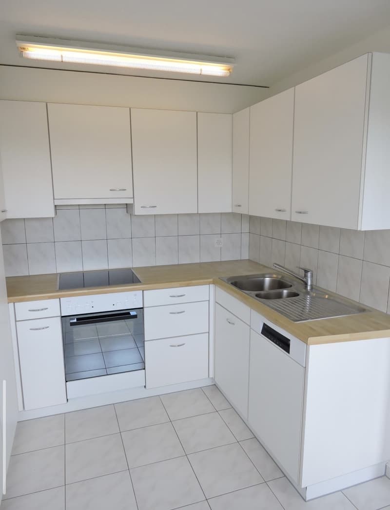 3.5 Zimmer Wohnung (1)