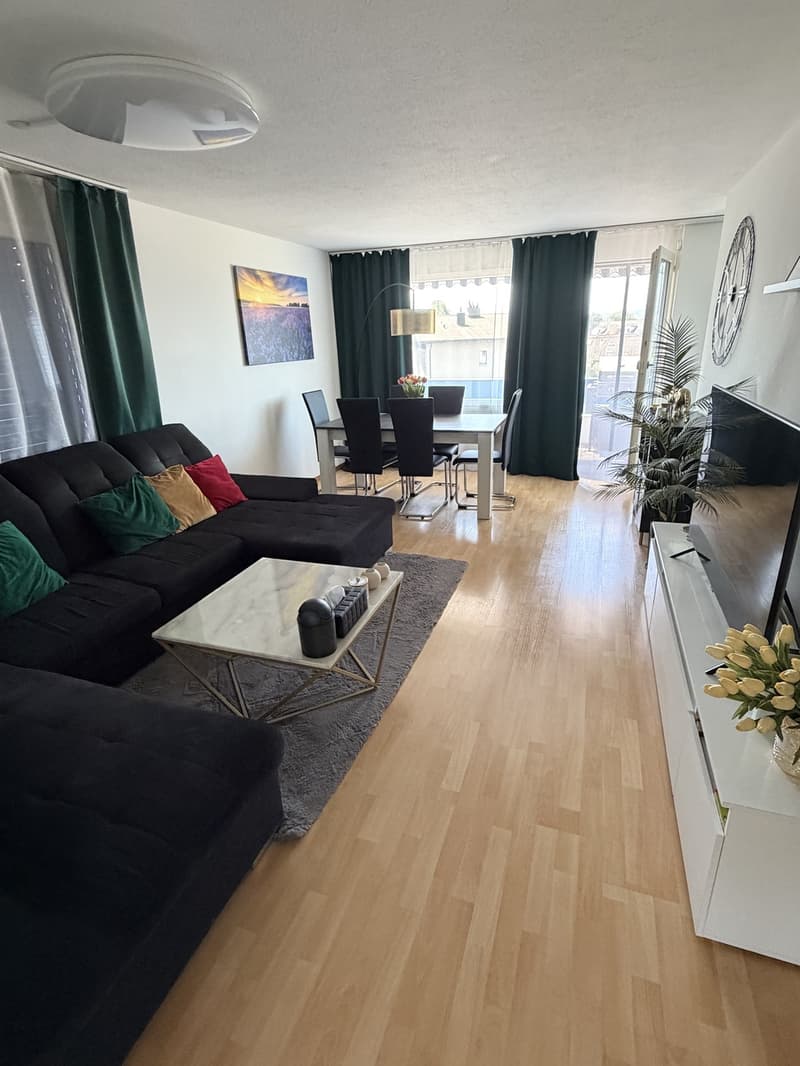 3.5 Zimmer Wohnung (2)