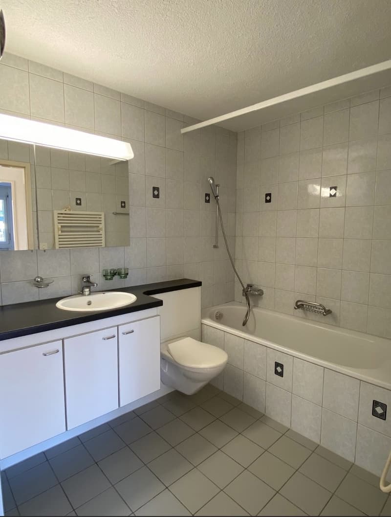 3.5 Zimmer Wohnung (5)