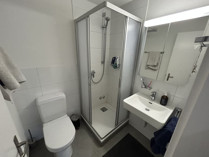 Furnished studio in district 5 for sublet (4)