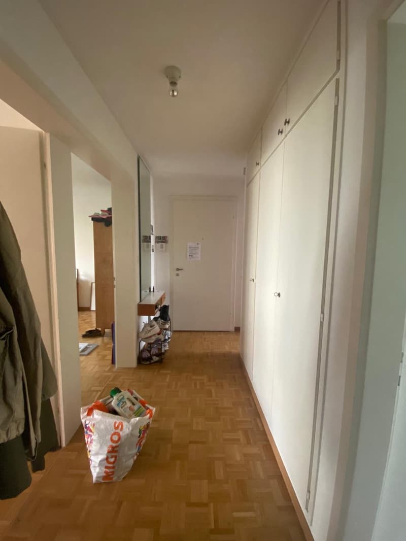 3-room apartment with balcony in Zurich 1st floor (3)