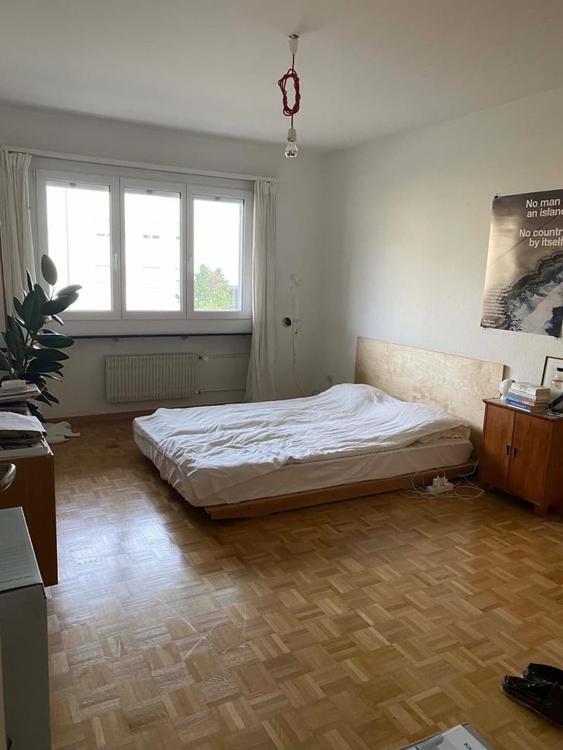3-room apartment with balcony in Zurich 1st floor (1)