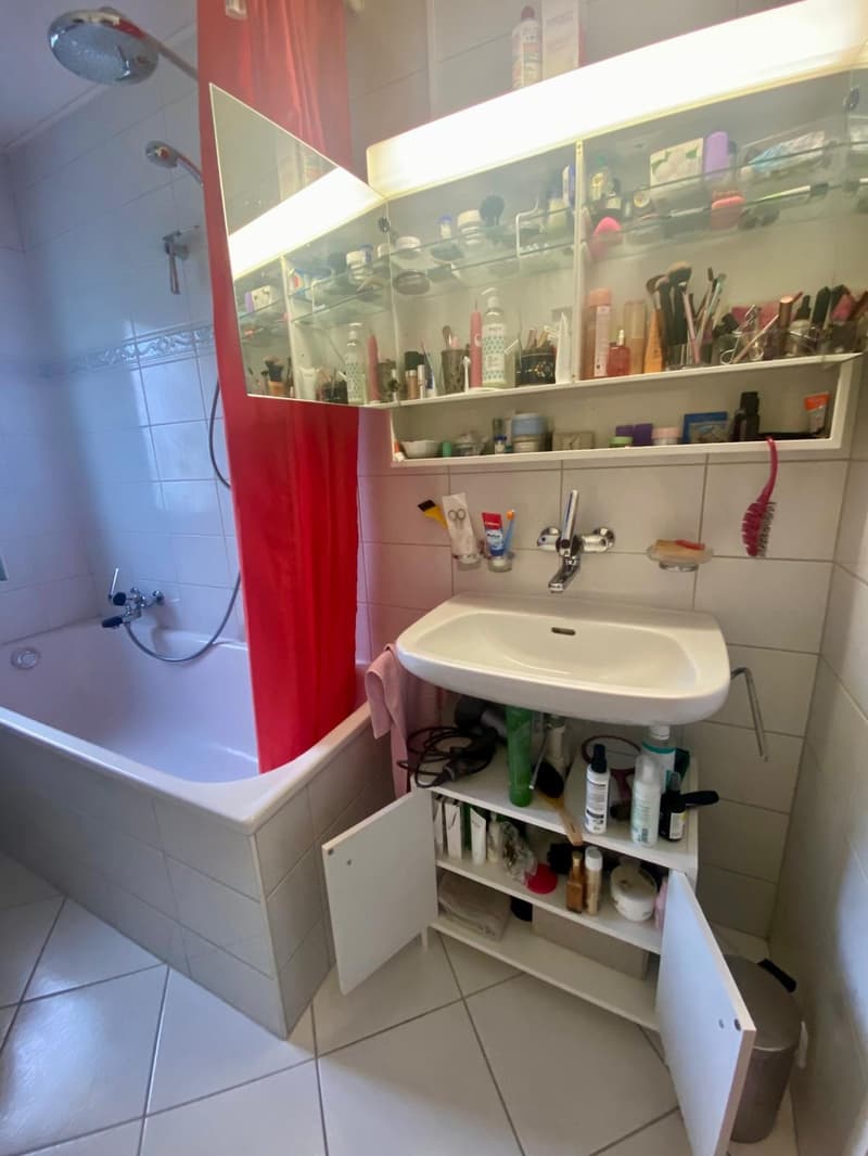 3-room apartment with balcony in Zurich 1st floor (2)