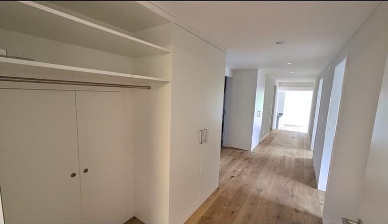 Exclusive 3-5 room apartment in Ossingen (8)