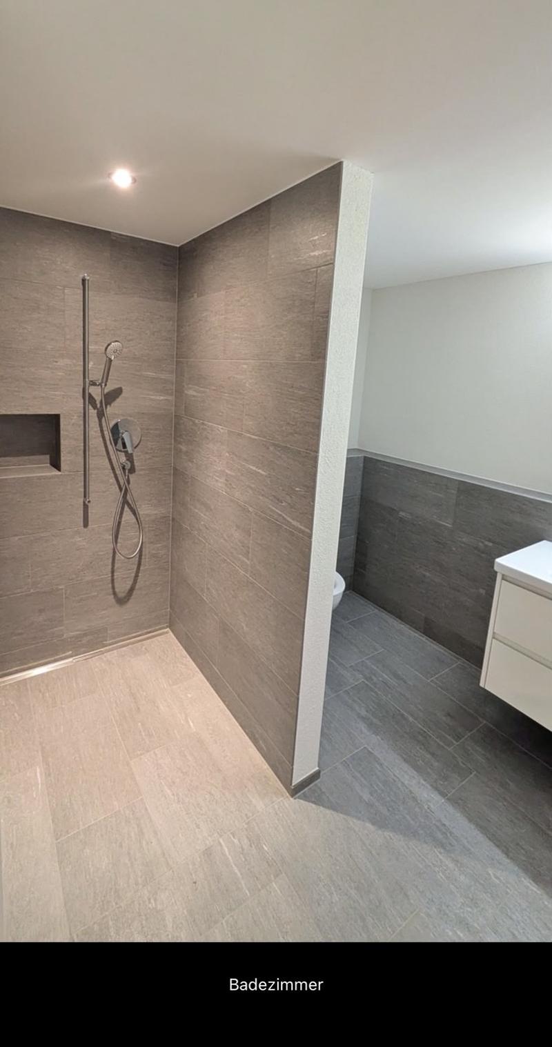 Exclusive 3-5 room apartment in Ossingen (4)