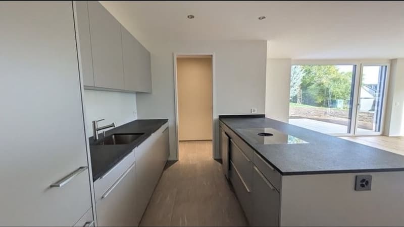 Exclusive 3-5 room apartment in Ossingen (7)