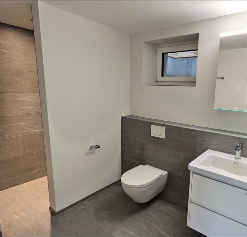 Exclusive 3-5 room apartment in Ossingen (12)