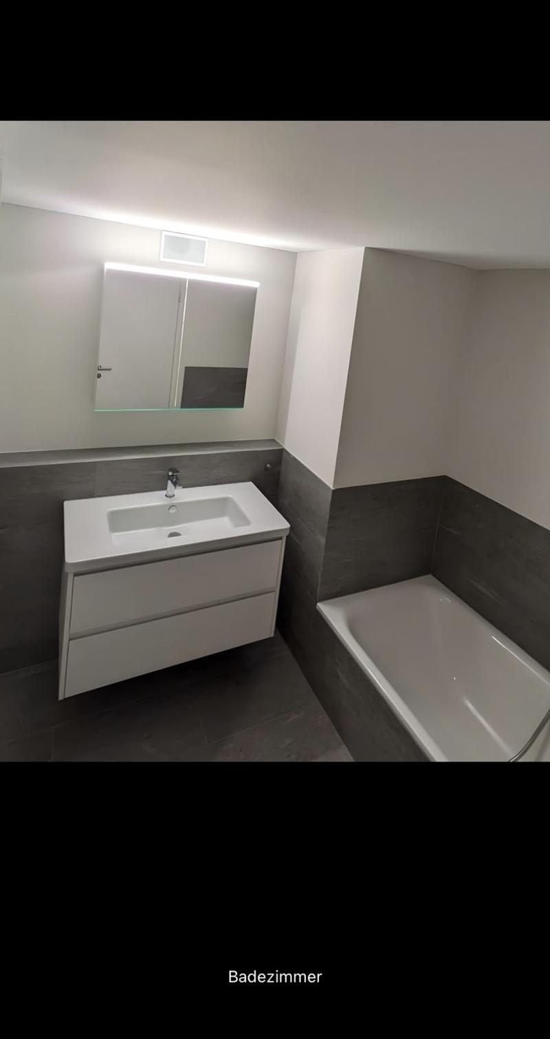 Exclusive 3-5 room apartment in Ossingen (5)