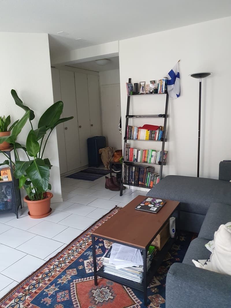 Appartement confortable avec vue sur le Pilatus (11)