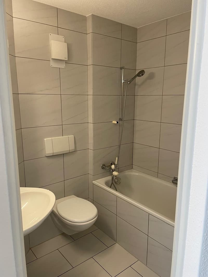 Appartement confortable avec vue sur le Pilatus (7)