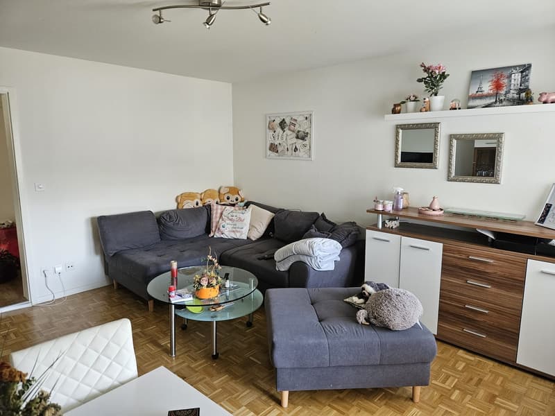 Geräumige 2-Zi Wohnung Winterthur-Wülflingen (12)