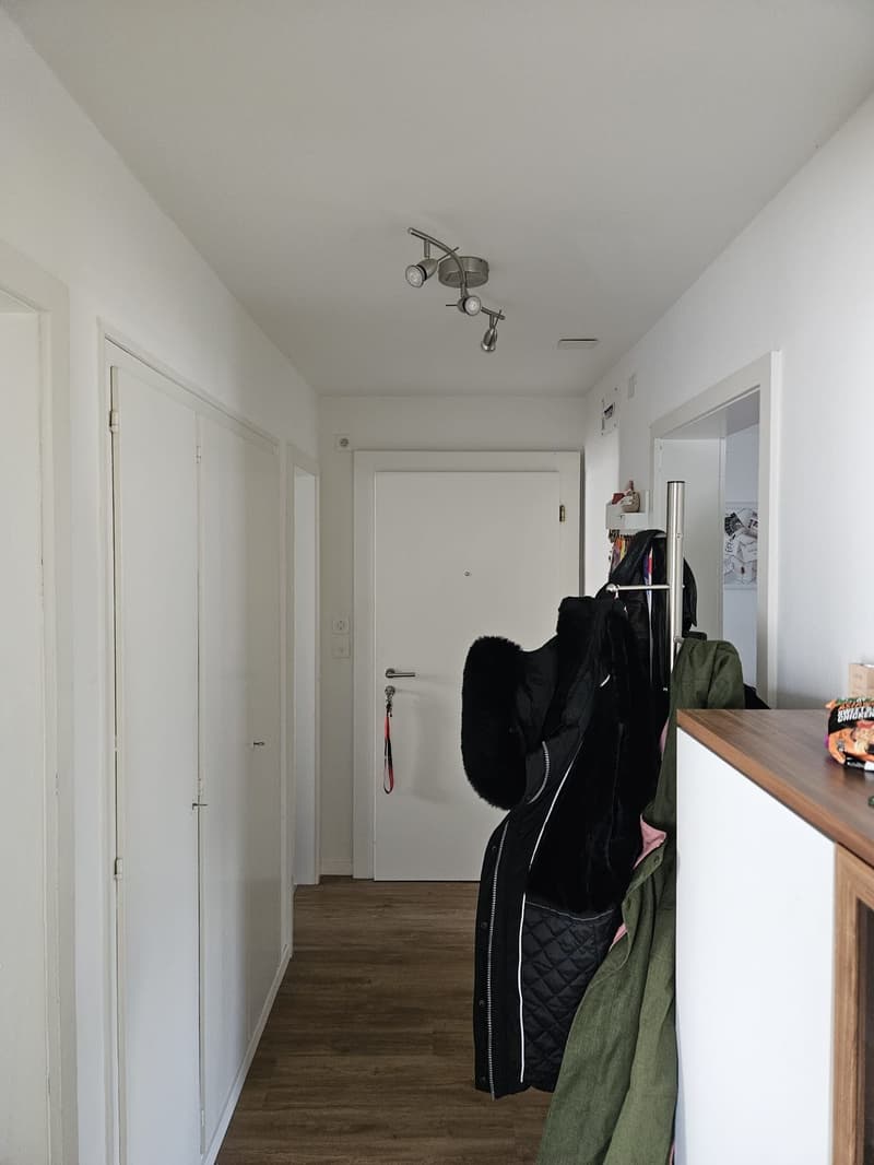 Geräumige 2-Zi Wohnung Winterthur-Wülflingen (4)