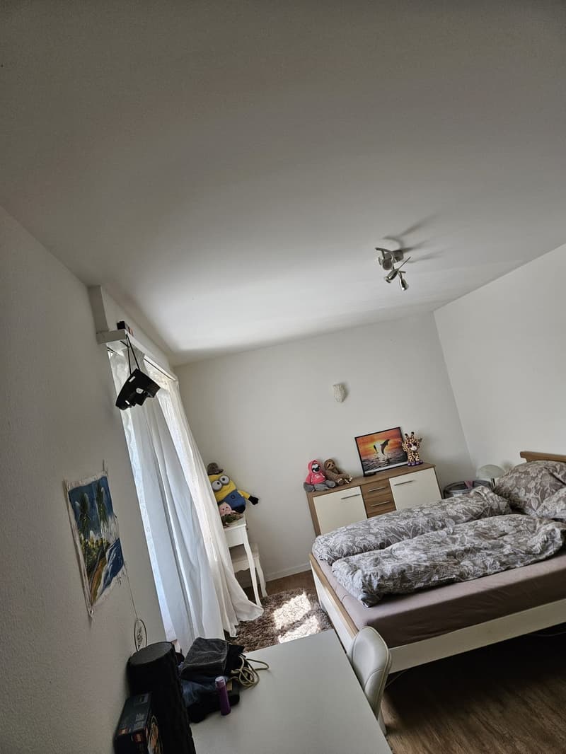Geräumige 2-Zi Wohnung Winterthur-Wülflingen (7)
