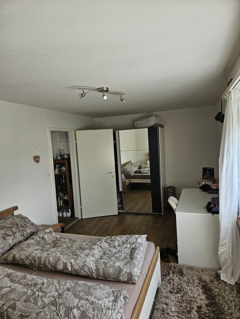 Geräumige 2-Zi Wohnung Winterthur-Wülflingen (8)