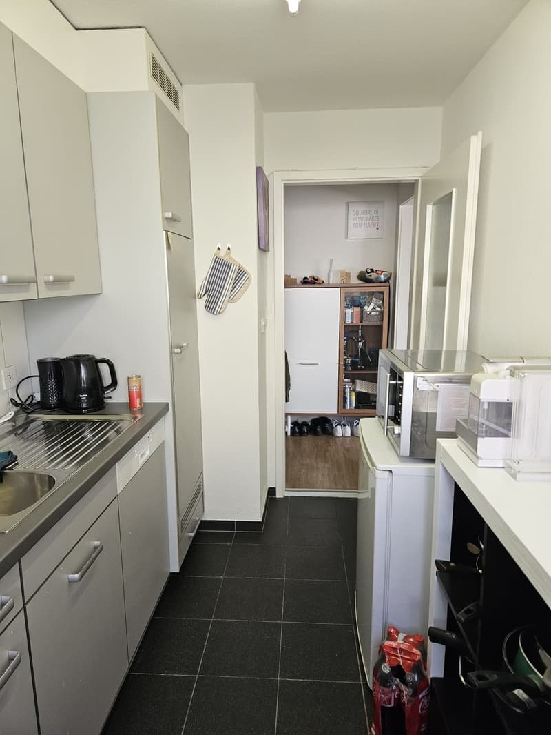 Geräumige 2-Zi Wohnung Winterthur-Wülflingen (3)