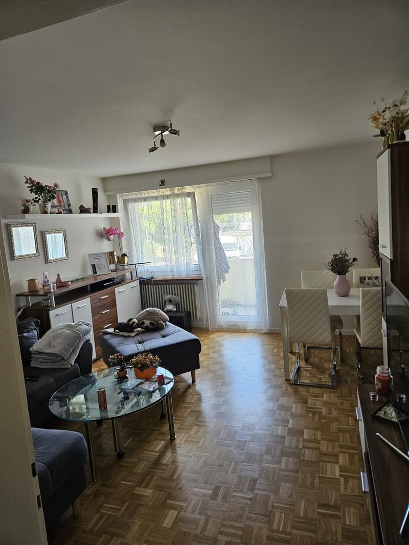 Geräumige 2-Zi Wohnung Winterthur-Wülflingen (13)