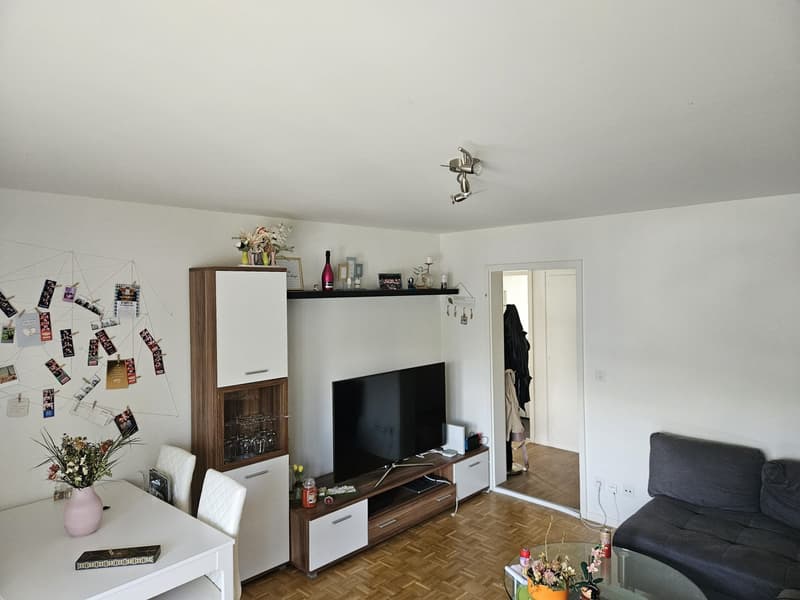 Geräumige 2-Zi Wohnung Winterthur-Wülflingen (11)