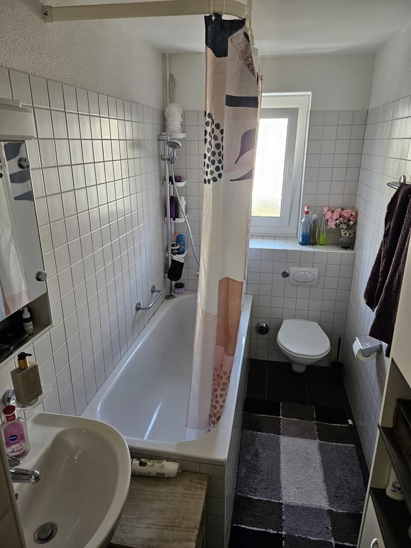 Geräumige 2-Zi Wohnung Winterthur-Wülflingen (10)