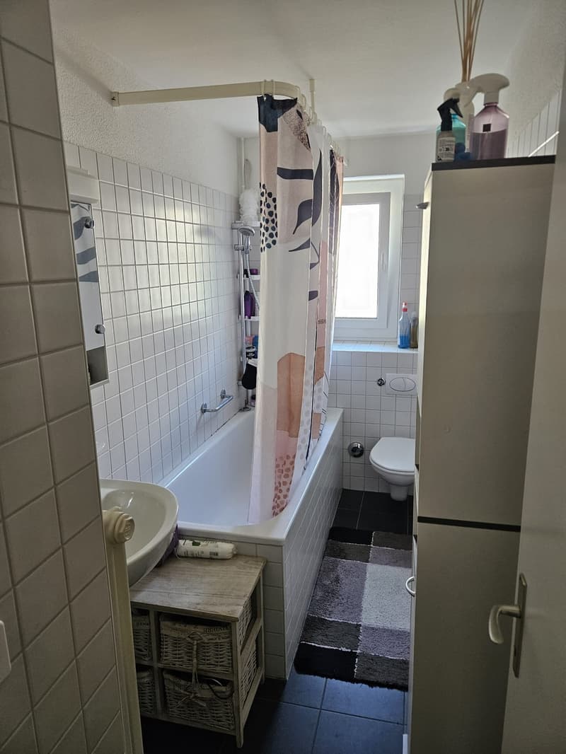 Geräumige 2-Zi Wohnung Winterthur-Wülflingen (9)