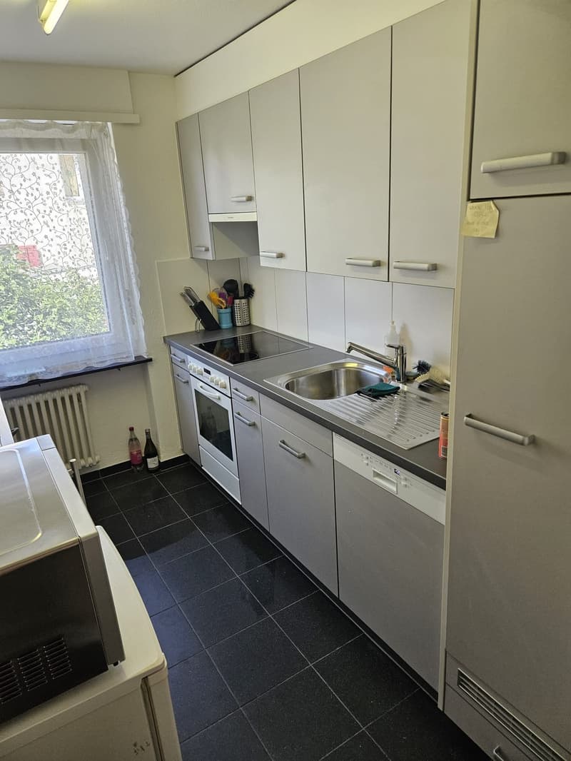 Geräumige 2-Zi Wohnung Winterthur-Wülflingen (2)