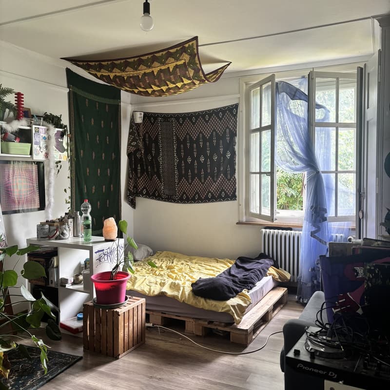 Room in old building apartment (1)