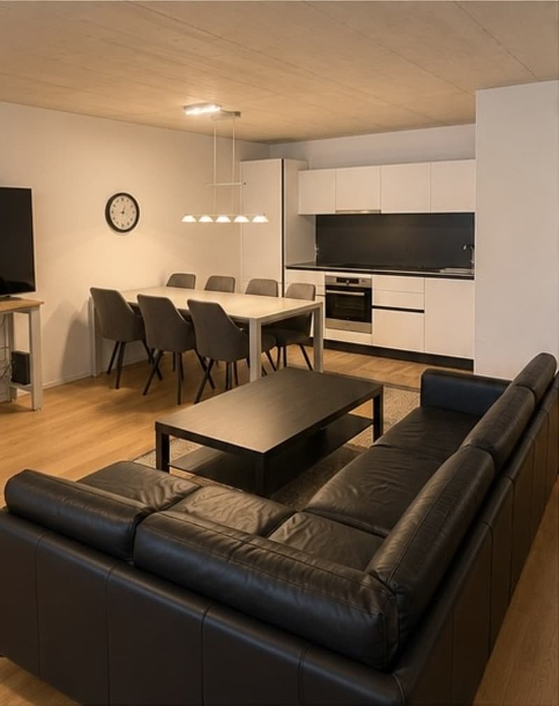 Exclusive, fully furnished 2.5-room apartment with balcony, ready for occupancy from 01.08.2026 (1)