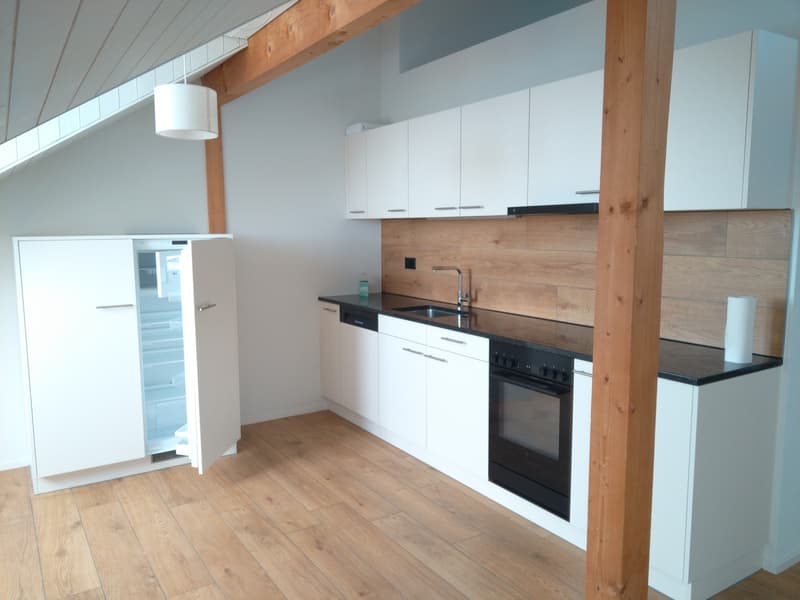 Tenant sought for an attic apartment with a view (3)