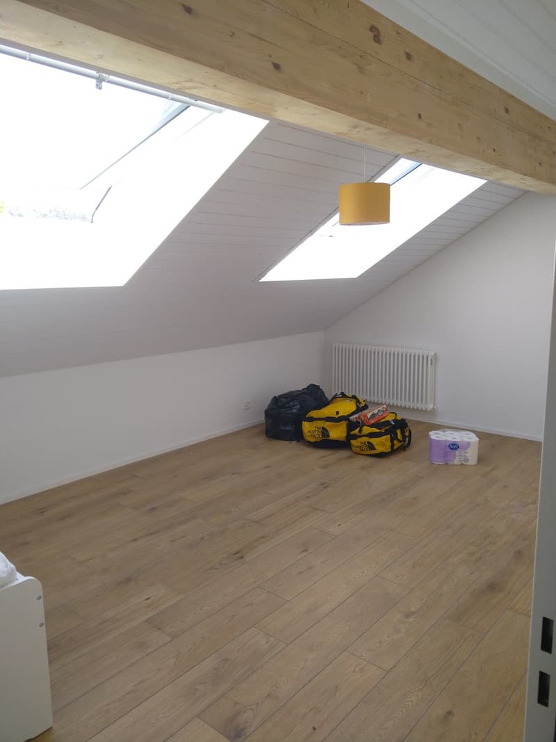 Tenant sought for an attic apartment with a view (4)