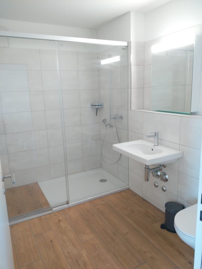 Tenant sought for an attic apartment with a view (2)