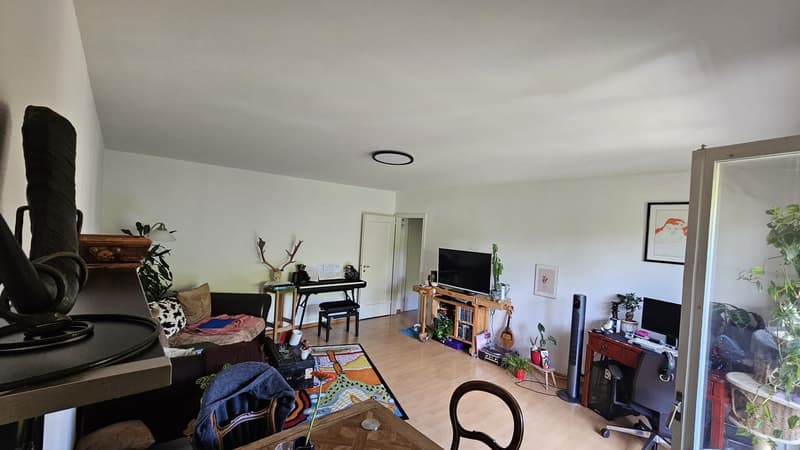 Bright 2-room apartment with large balcony and park view in the heart of Basel (1)