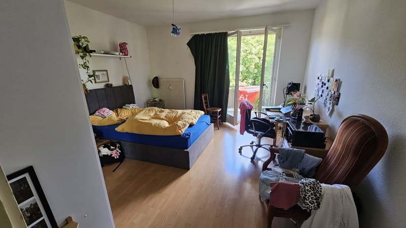 Bright 2-room apartment with large balcony and park view in the heart of Basel (5)