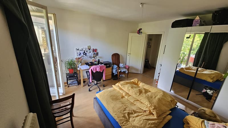 Bright 2-room apartment with large balcony and park view in the heart of Basel (4)