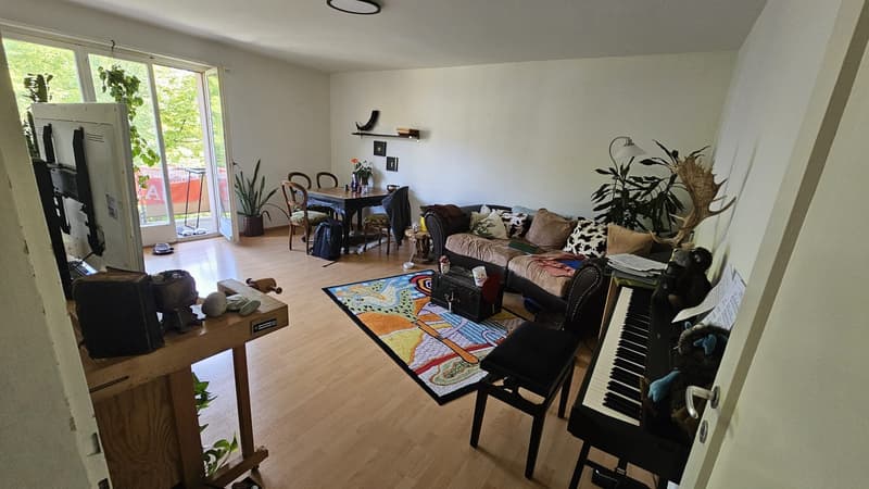 Bright 2-room apartment with large balcony and park view in the heart of Basel (2)
