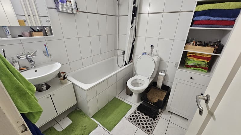 Bright 2-room apartment with large balcony and park view in the heart of Basel (6)
