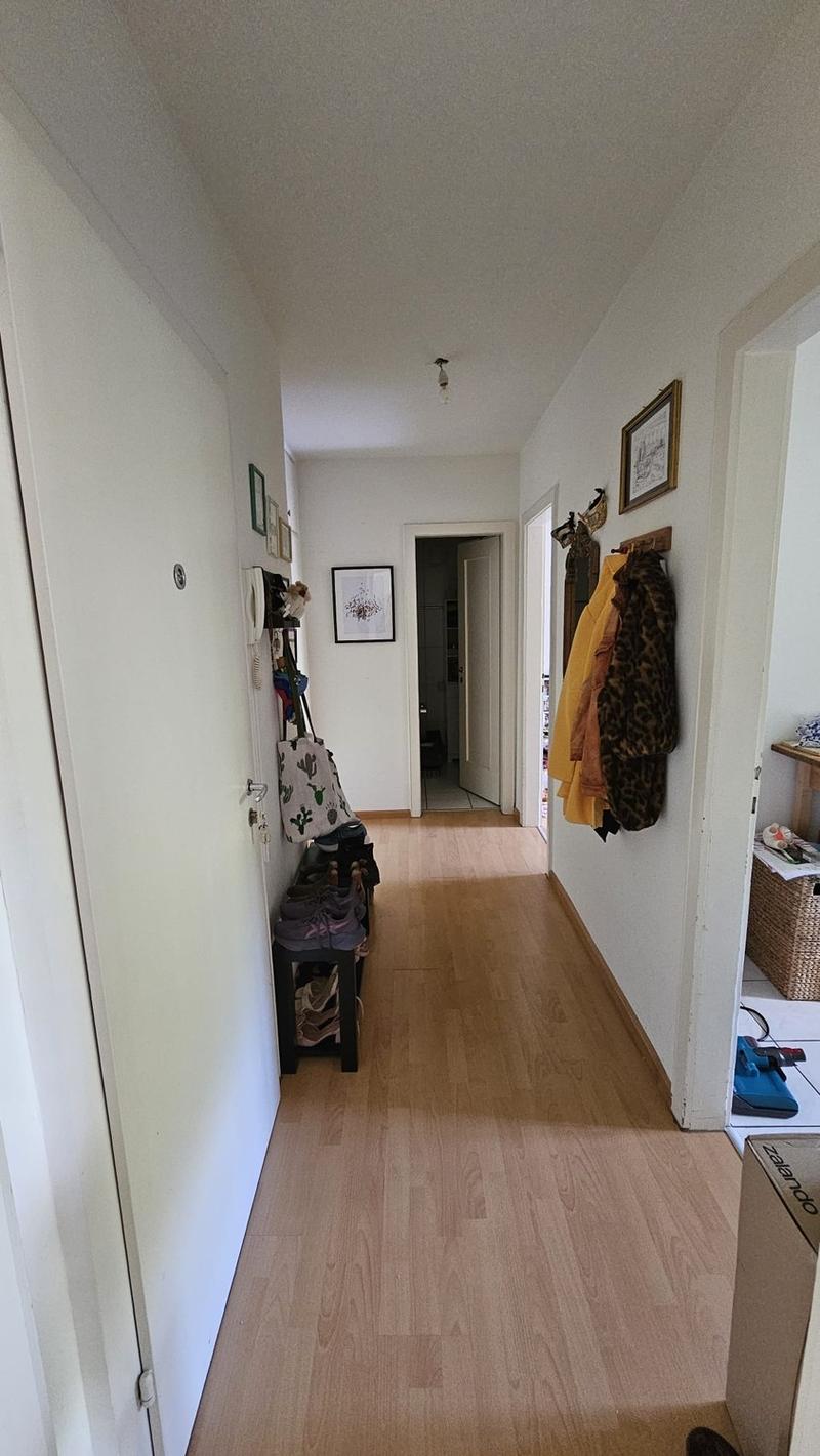 Bright 2-room apartment with large balcony and park view in the heart of Basel (3)