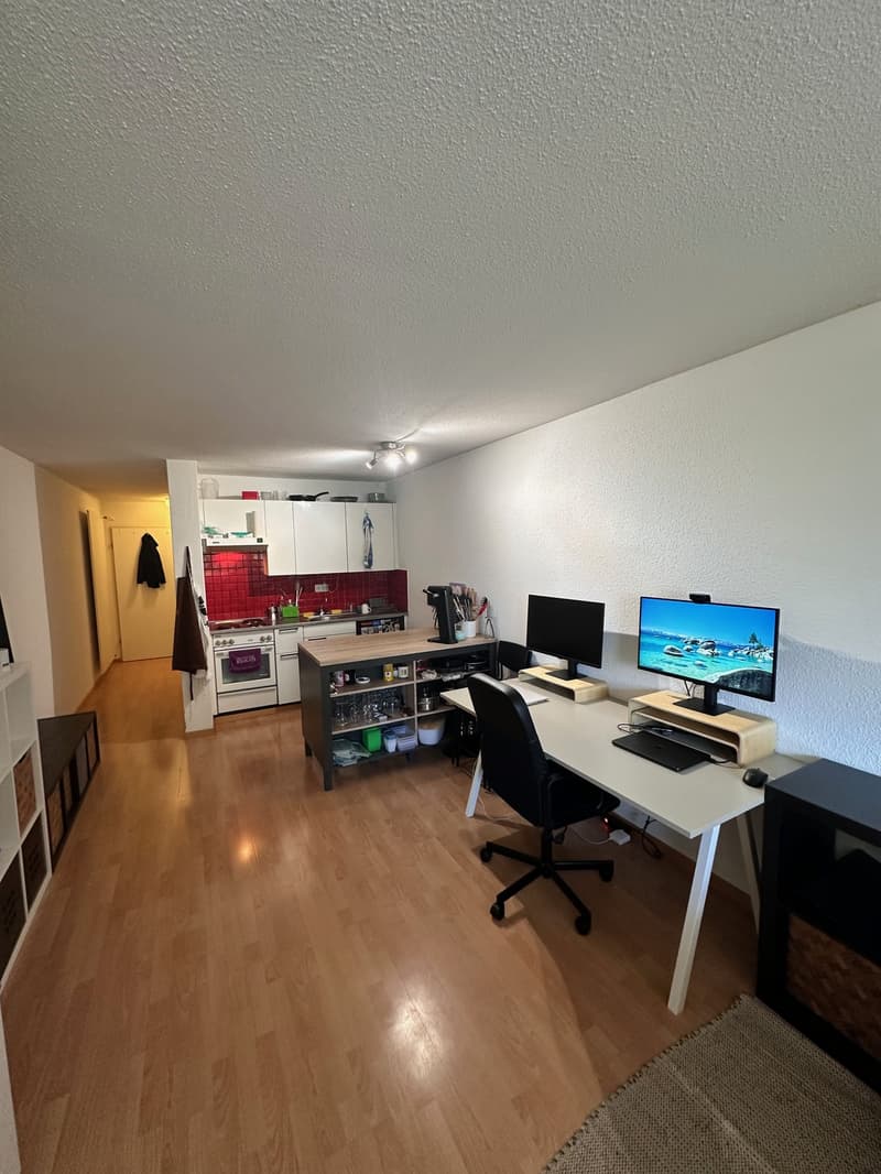 Studiowohnung ideal für Studenten und PhDs an der ETH (2)