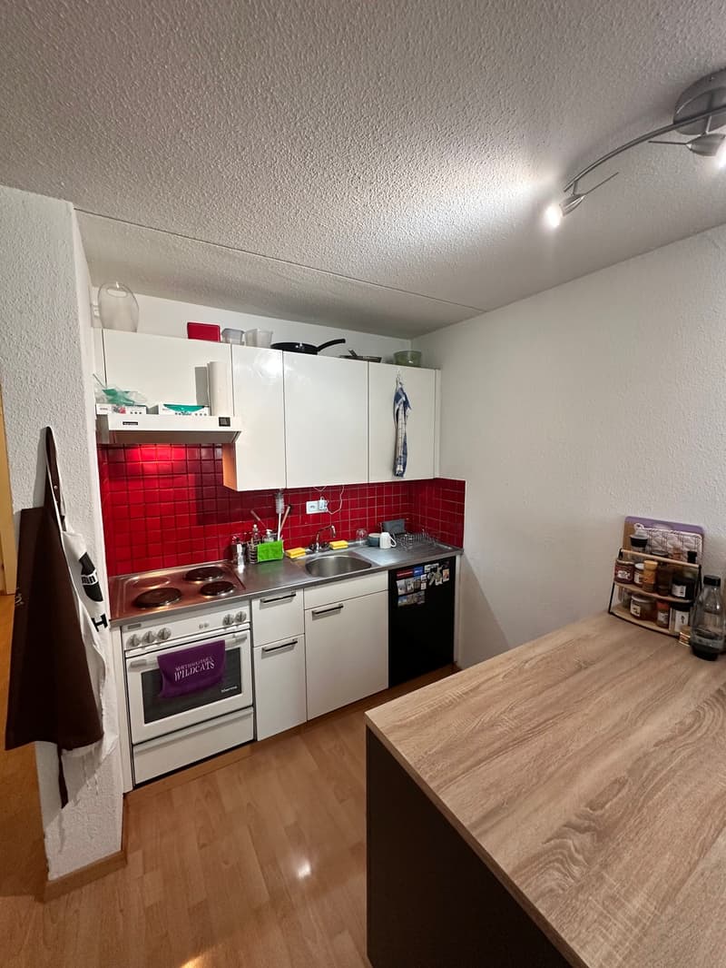 Studiowohnung ideal für Studenten und PhDs an der ETH (4)