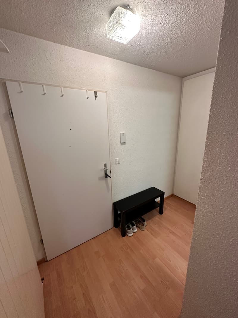 Studiowohnung ideal für Studenten und PhDs an der ETH (6)