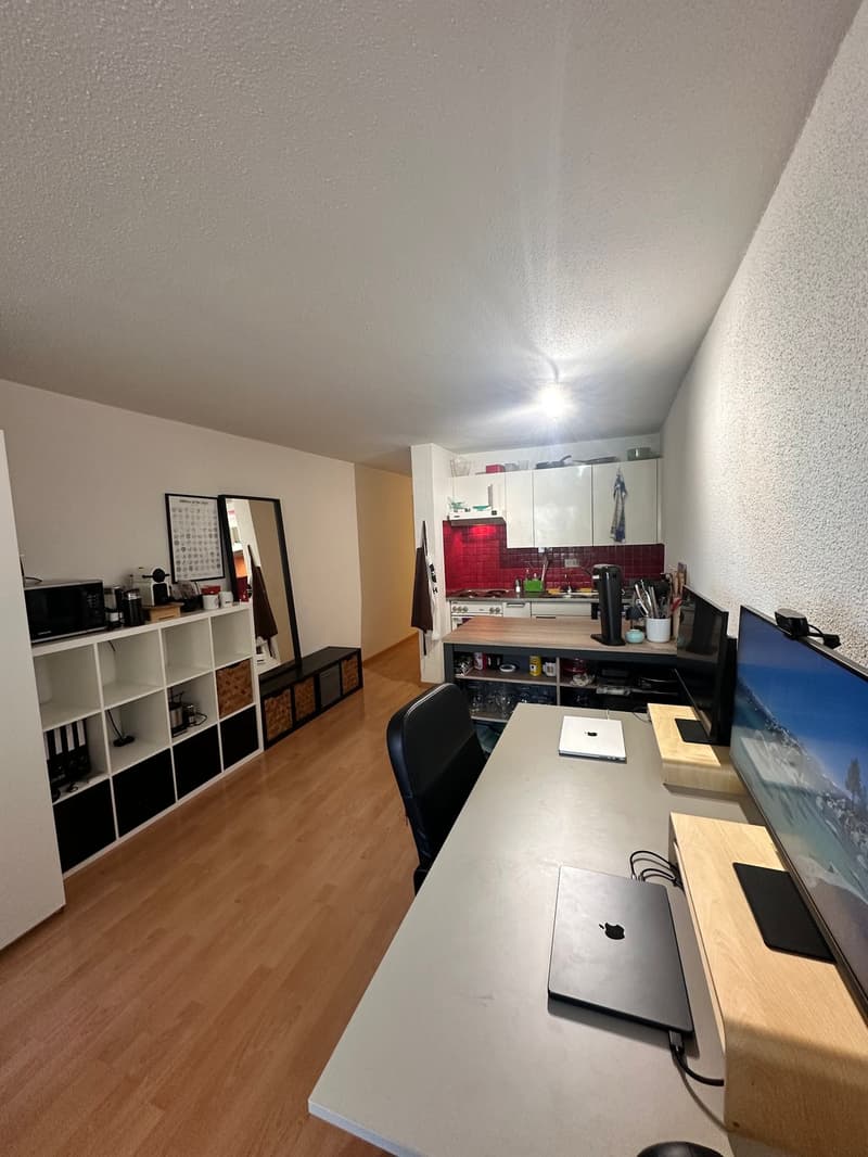 Studiowohnung ideal für Studenten und PhDs an der ETH (3)