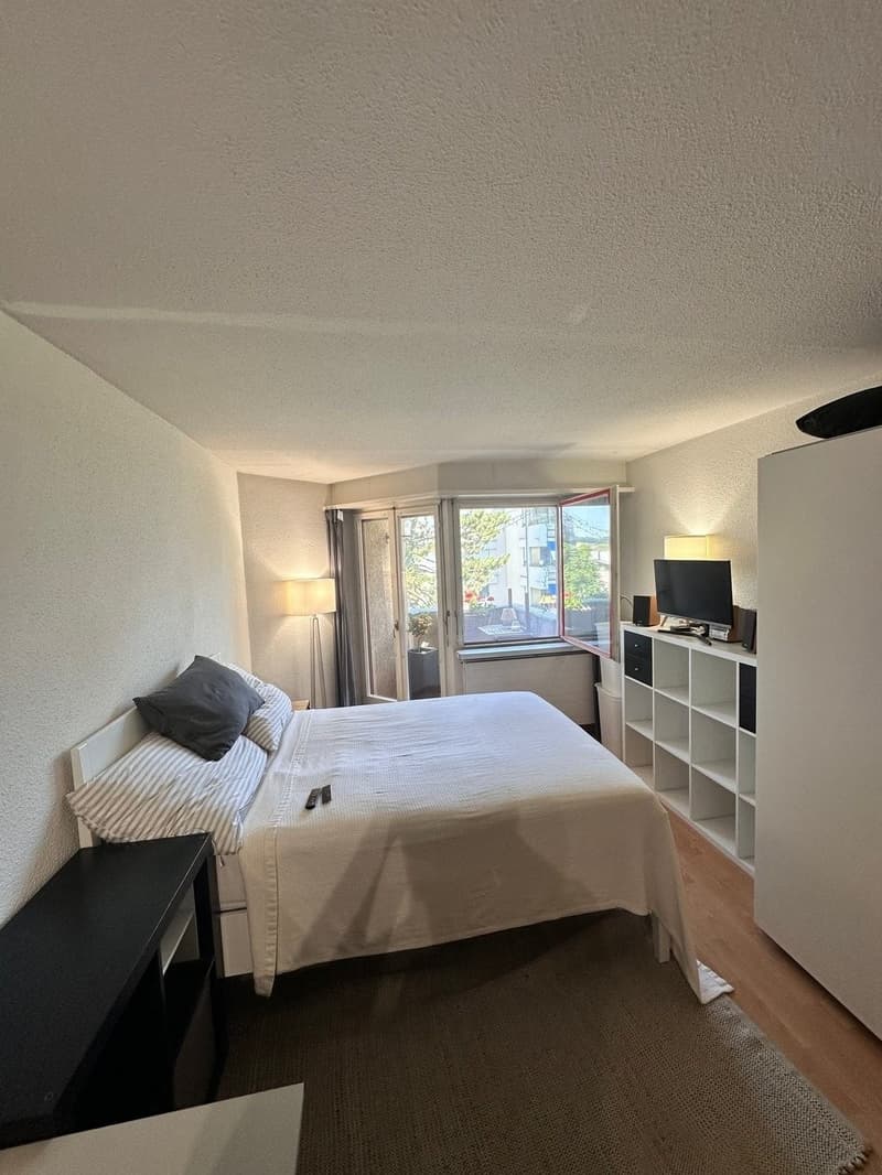 Studiowohnung ideal für Studenten und PhDs an der ETH (1)
