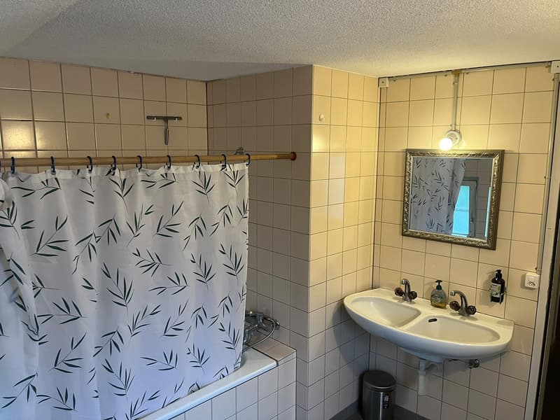 Chambre dans une colocation près du lac (f) (5)