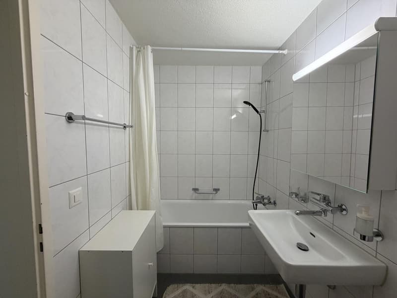 Appartement lumineux et confortable de 3,5 pièces avec balcon et place de parking à 8804 Au ZH (6)