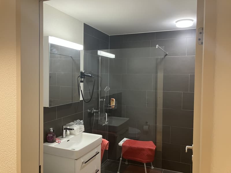 2 ½ room apartment, 8620 Wetzikon (3)