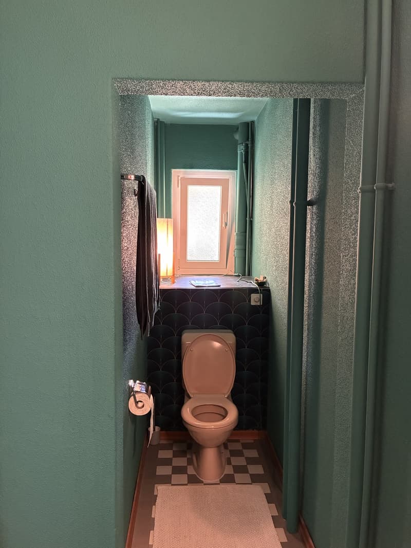 Joli appartement meublé 2 pièces dans le cozy Wollishofen (6)