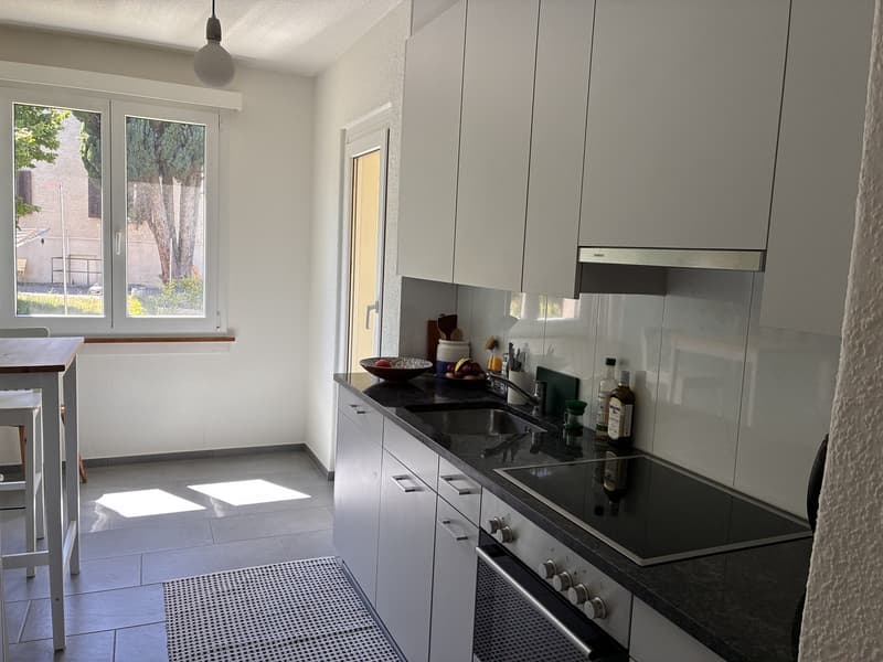 Joli appartement meublé 2 pièces dans le cozy Wollishofen (3)